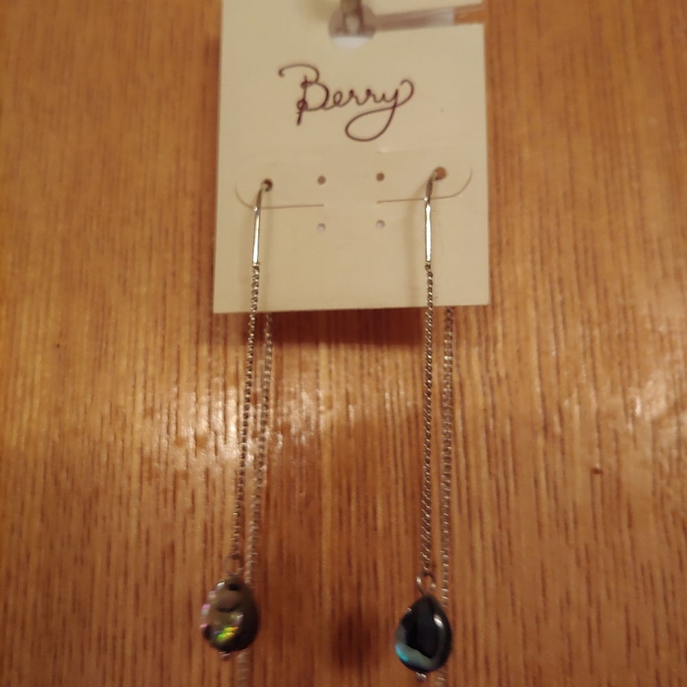 NWT Chain dangling earrings